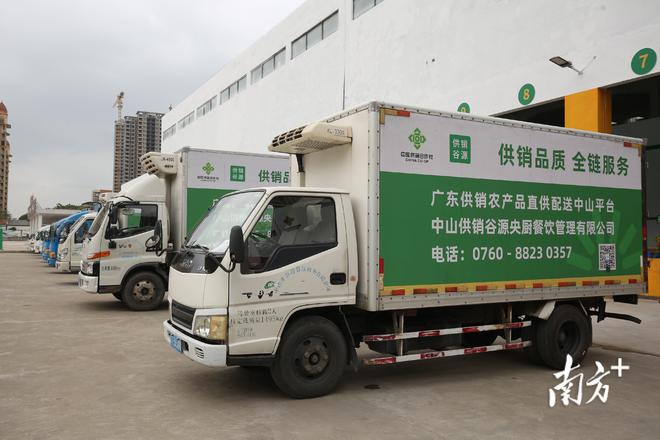 廣東供銷農(nóng)產(chǎn)品直供配送中山服務(wù)中心開業(yè)，一站式打包服務(wù)助力農(nóng)產(chǎn)品高效流通